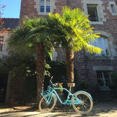Le velo bleu